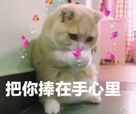  还在用我喜欢你告白,这么甜的表情包不用吗不脱单算我输