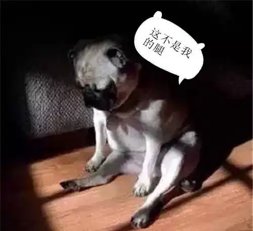 亲爱的我错了表情包汪星