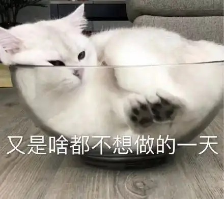  已黄化sp了看看高糊表情包高糊sp黄化看看表情