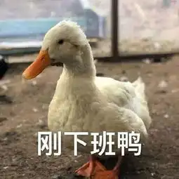  夏天的地铁到底有多臭