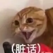  据说点进来看的同学四六级都过了