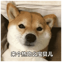  表情一些杂图表情包
