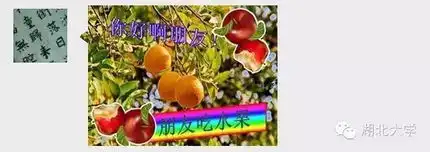  湖大人的专属表情包1.0