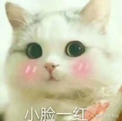  想问问网恋真的靠谱嘛就是看见经常有网恋的朋友啊同学啊有点好奇