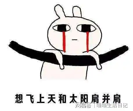  喵喵日记第十九篇开学后的各种恐惧症