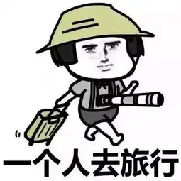 违章表情包表情
