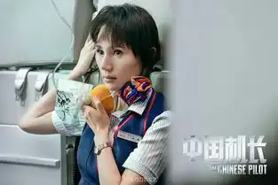  中国机长也有bug央视请来真机长挑刺,看完我服了