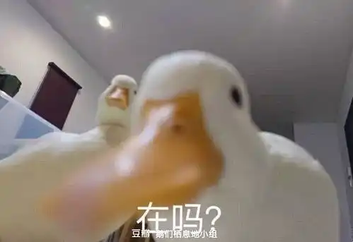  的公关流程,大家看我总结的对吗