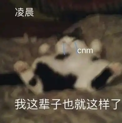  她这种清冷如温牛奶的气质,居然曾经还跳过这样的舞