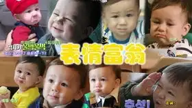  嘟嘟嘟威本表情包合集