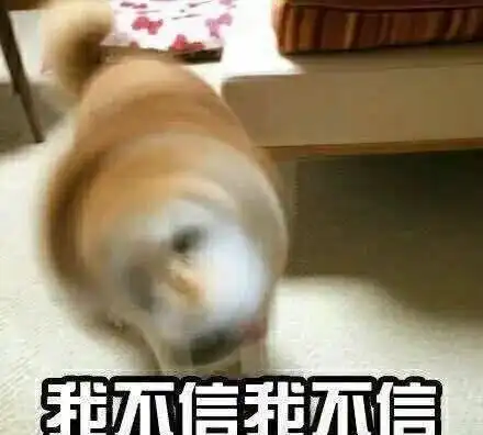 违章表情包我不管
