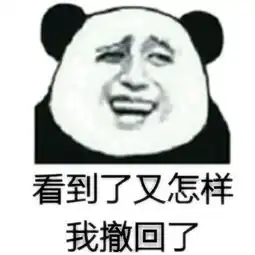  打错字了就要撤回,化解撤回尴尬系列表情包