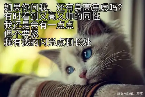  男生的容貌焦虑都在表情包里