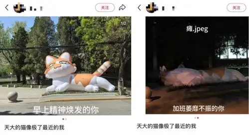  大学生做出4米多高的大胖橘魔性表情包刷屏,网友太形象了......