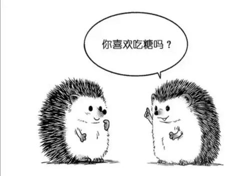  爆笑解忧这年头连刺猬都这也会撩啦