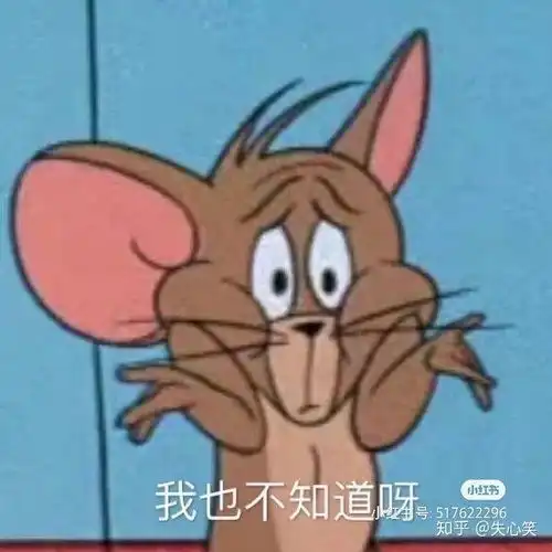 huh猫表情包动图脐橙