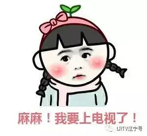  说出你爱辽宁的n个理由走上央视晒幸福去