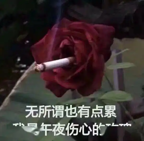  完蛋,傻白甜已经入侵到检察官题材了