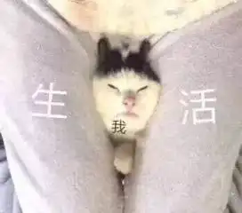  黄子华讲过,我有份工叫阴公,咁广州人返工究竟有几难
