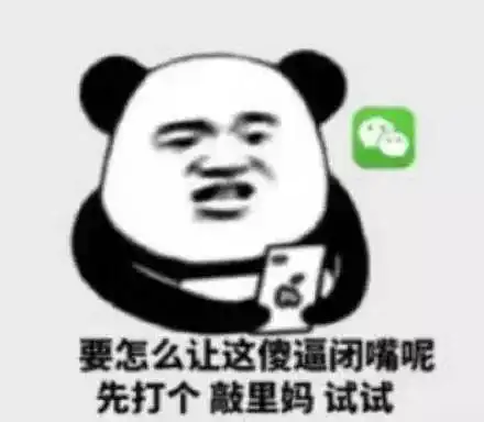  熊猫头表情包i年轻人不知天高地厚