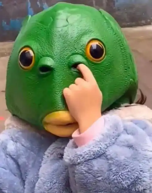 绿表情包鱼头