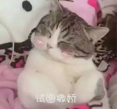  进来看马玉灵的笑容心情会变好哦
