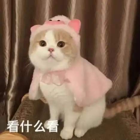  最新表情包图片营业,让我瞧瞧,来自底层的仰望