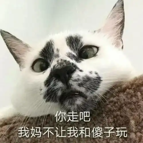  双十一我想买学过奥数拿过奖吗没有那你过个屁双十一