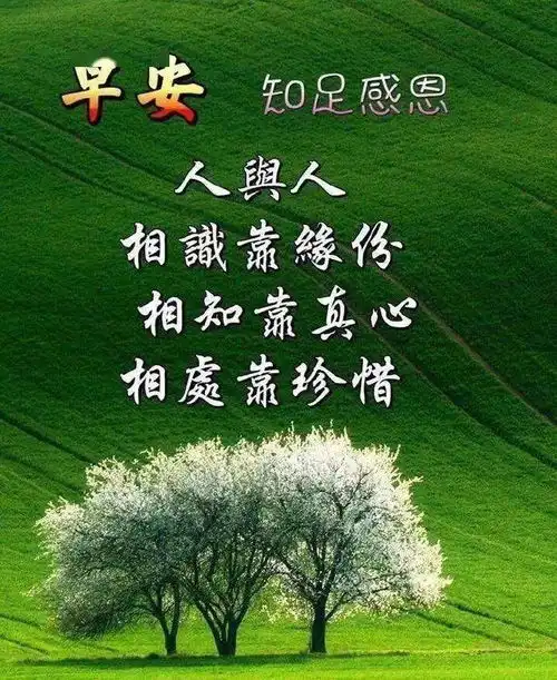  11月4日早上好动态图片最漂亮,好看精美的早上好图片表情包闪动