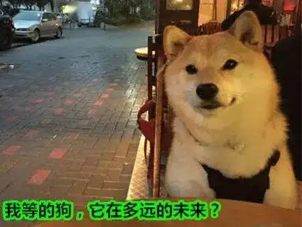  520单身狗头像表情包对象,不存在的
