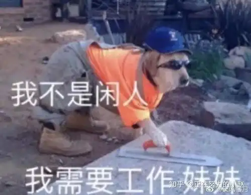  自律学习打卡