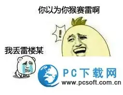  猴赛雷图片大全猴赛雷表情包汇总