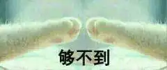  绥化哪里有跑腿服务公司