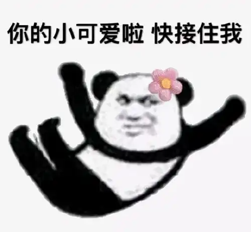  抖音表情包老师他骂我