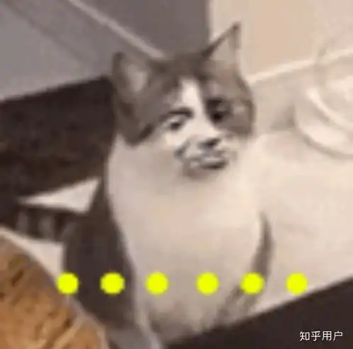  有个控制狗哥哥是一种怎样的体验