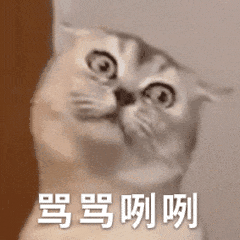 摇头动态表情包猫咪