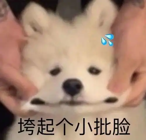  每天总有dj和vj在掐架的边缘来回摩擦