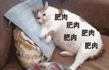  节后上班犯困那就快起来活动下吧