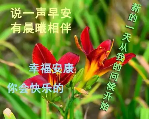 有图有字的图片表情包早