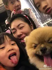  秀爱宠,孙俪最会搞怪,范冰冰的让我直接无语