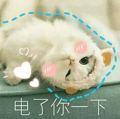  这些彩妆辣鸡,千万不要买
