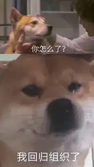  妹子跟我表白,可是我已经有女友了,怎么办