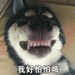  大b神脱口秀屌丝本科大学生和土豪妹子相亲,居然嫌弃她只有大专学历