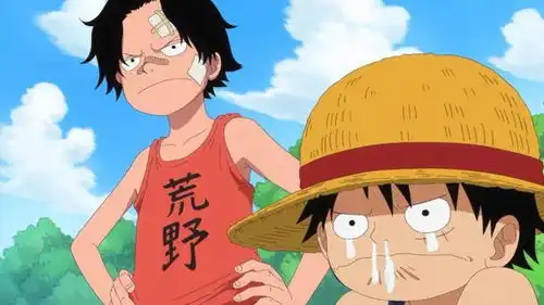  七武海当得也太容易了隐忍的黑胡子除了实力外,还主要靠运气