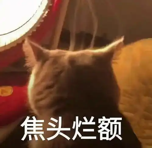 焦头烂额表情包看透