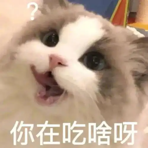  表情包你在吃啥呀拿图点赞吱声