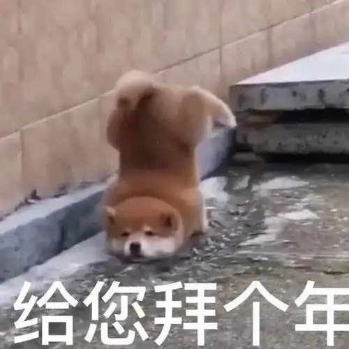  超好玩的寒假优惠券快点击查收
