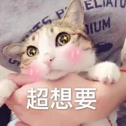  hmeer年货节丨在超市堆满购物车的感觉是怎样的
