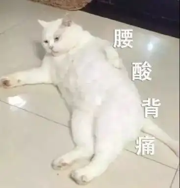  地板沙发床底门缝无差别打击全屋干湿清洁有一台就够了