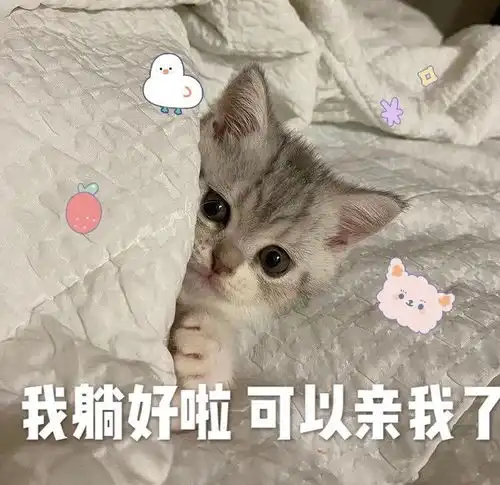  聊天时怎么撩男朋友啊
